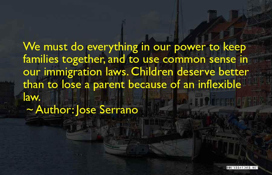 Jose Serrano Quotes: We Must Do Everything In Our Power To Keep Families Together, And To Use Common Sense In Our Immigration Laws.