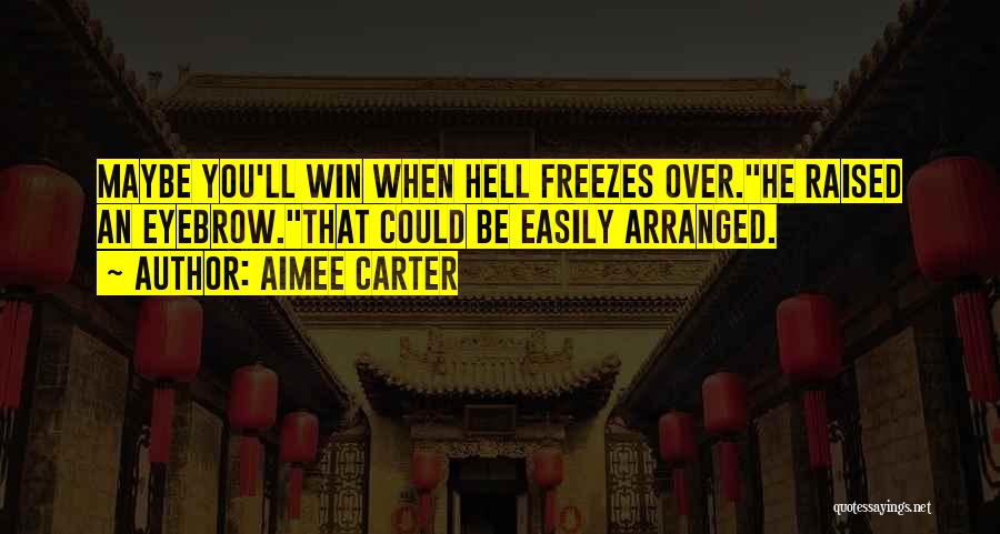 Aimee Carter Quotes: Maybe You'll Win When Hell Freezes Over.he Raised An Eyebrow.that Could Be Easily Arranged.