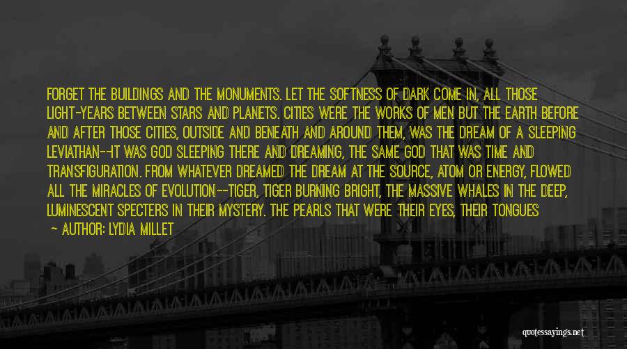 Lydia Millet Quotes: Forget The Buildings And The Monuments. Let The Softness Of Dark Come In, All Those Light-years Between Stars And Planets.