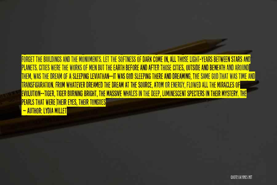 Lydia Millet Quotes: Forget The Buildings And The Monuments. Let The Softness Of Dark Come In, All Those Light-years Between Stars And Planets.