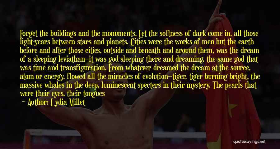 Lydia Millet Quotes: Forget The Buildings And The Monuments. Let The Softness Of Dark Come In, All Those Light-years Between Stars And Planets.