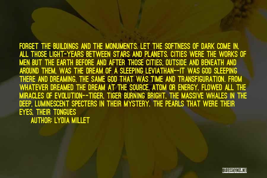 Lydia Millet Quotes: Forget The Buildings And The Monuments. Let The Softness Of Dark Come In, All Those Light-years Between Stars And Planets.