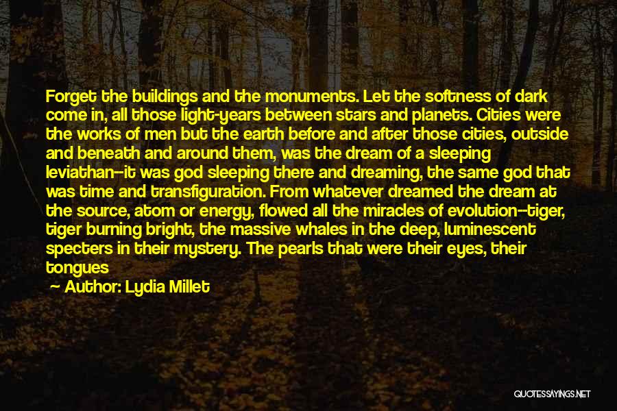 Lydia Millet Quotes: Forget The Buildings And The Monuments. Let The Softness Of Dark Come In, All Those Light-years Between Stars And Planets.