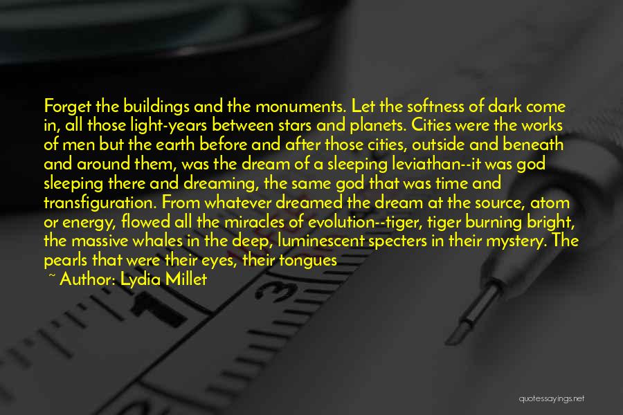 Lydia Millet Quotes: Forget The Buildings And The Monuments. Let The Softness Of Dark Come In, All Those Light-years Between Stars And Planets.