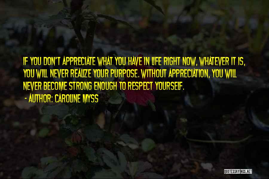 Caroline Myss Quotes: If You Don't Appreciate What You Have In Life Right Now, Whatever It Is, You Will Never Realize Your Purpose.