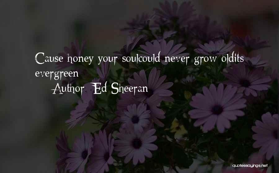 Ed Sheeran Quotes: Cause Honey Your Soulcould Never Grow Oldits Evergreen