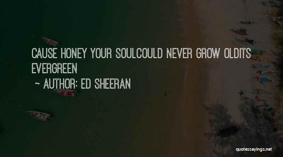 Ed Sheeran Quotes: Cause Honey Your Soulcould Never Grow Oldits Evergreen