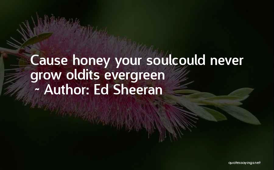 Ed Sheeran Quotes: Cause Honey Your Soulcould Never Grow Oldits Evergreen