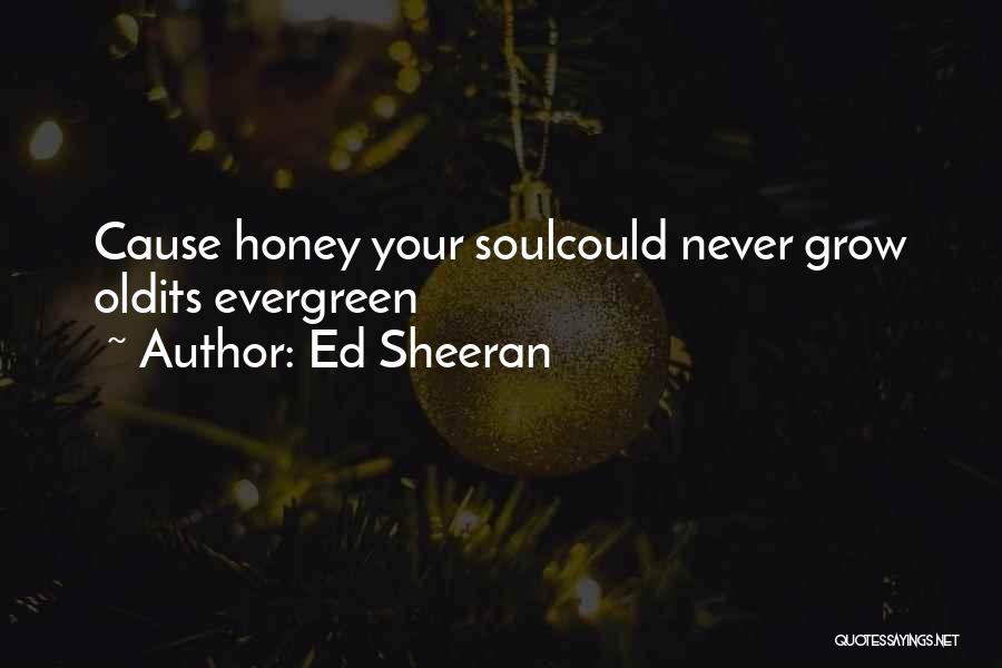 Ed Sheeran Quotes: Cause Honey Your Soulcould Never Grow Oldits Evergreen