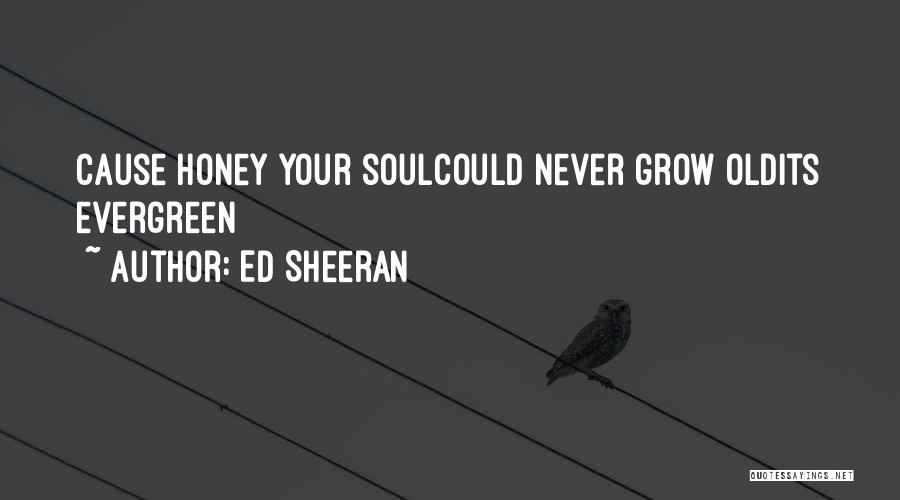 Ed Sheeran Quotes: Cause Honey Your Soulcould Never Grow Oldits Evergreen