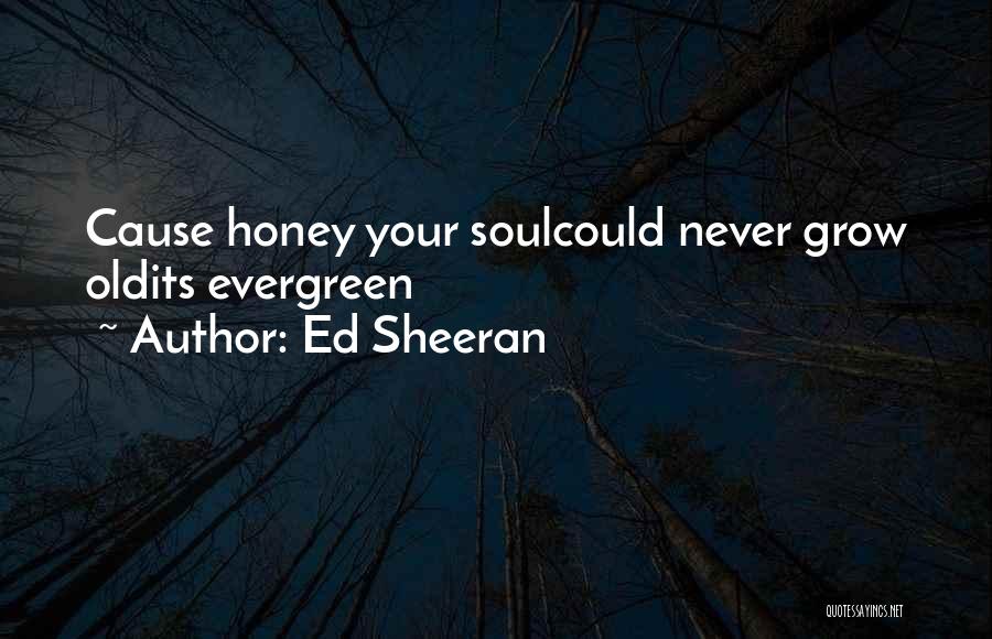 Ed Sheeran Quotes: Cause Honey Your Soulcould Never Grow Oldits Evergreen