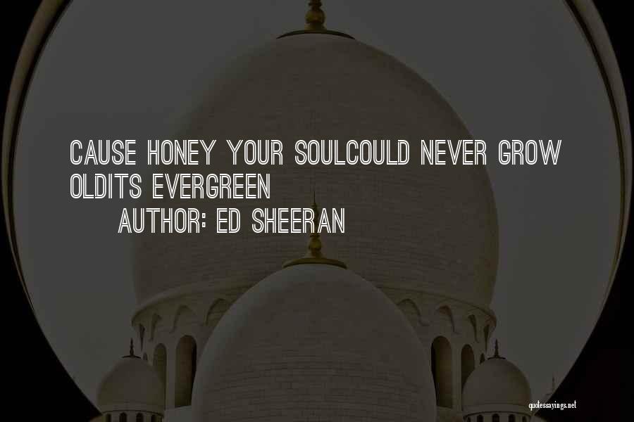 Ed Sheeran Quotes: Cause Honey Your Soulcould Never Grow Oldits Evergreen