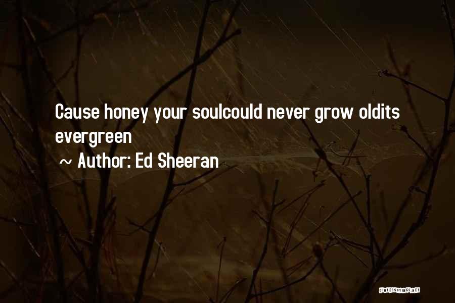 Ed Sheeran Quotes: Cause Honey Your Soulcould Never Grow Oldits Evergreen