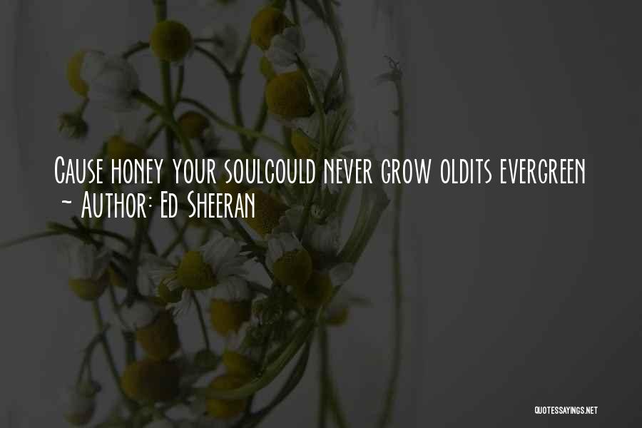 Ed Sheeran Quotes: Cause Honey Your Soulcould Never Grow Oldits Evergreen