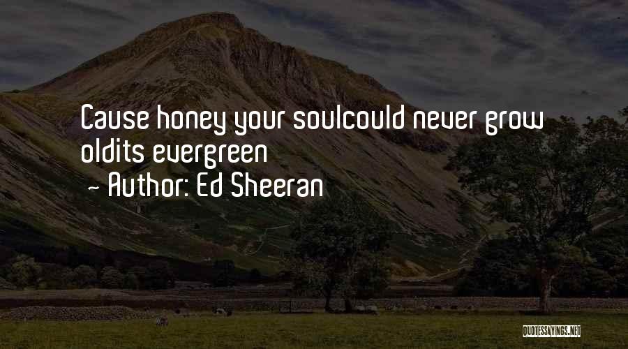 Ed Sheeran Quotes: Cause Honey Your Soulcould Never Grow Oldits Evergreen