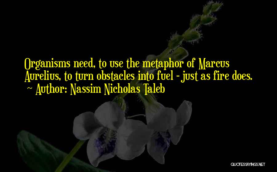 Nassim Nicholas Taleb Quotes: Organisms Need, To Use The Metaphor Of Marcus Aurelius, To Turn Obstacles Into Fuel - Just As Fire Does.