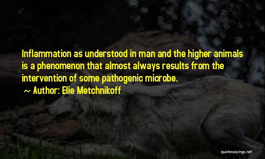 Elie Metchnikoff Quotes: Inflammation As Understood In Man And The Higher Animals Is A Phenomenon That Almost Always Results From The Intervention Of