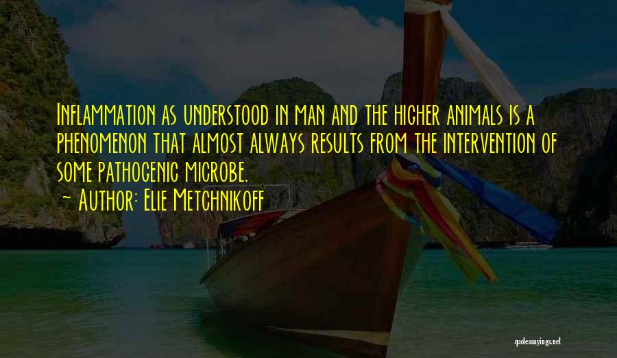 Elie Metchnikoff Quotes: Inflammation As Understood In Man And The Higher Animals Is A Phenomenon That Almost Always Results From The Intervention Of