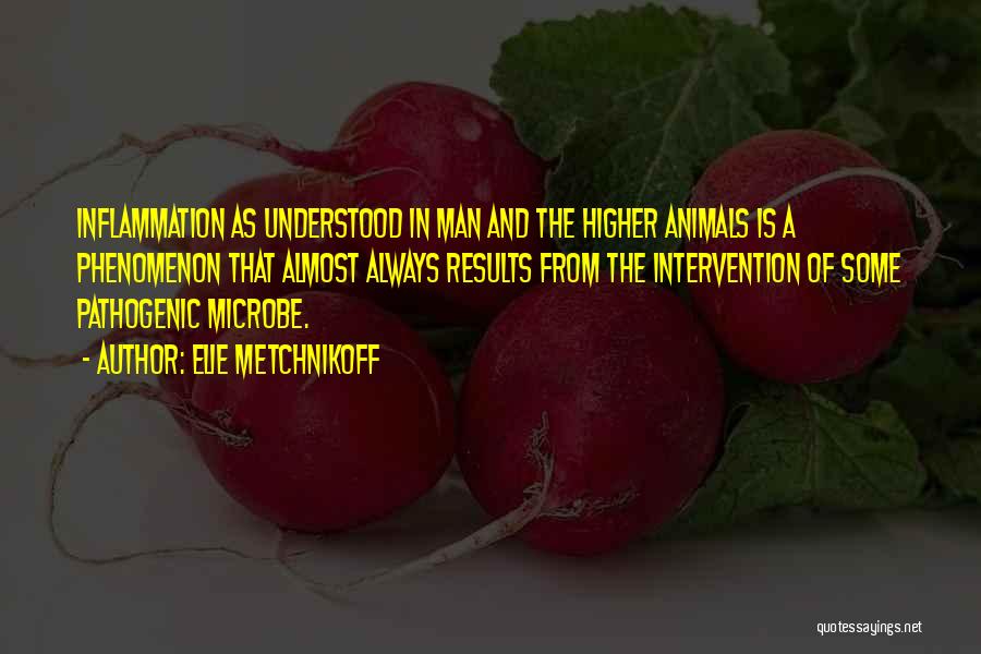 Elie Metchnikoff Quotes: Inflammation As Understood In Man And The Higher Animals Is A Phenomenon That Almost Always Results From The Intervention Of