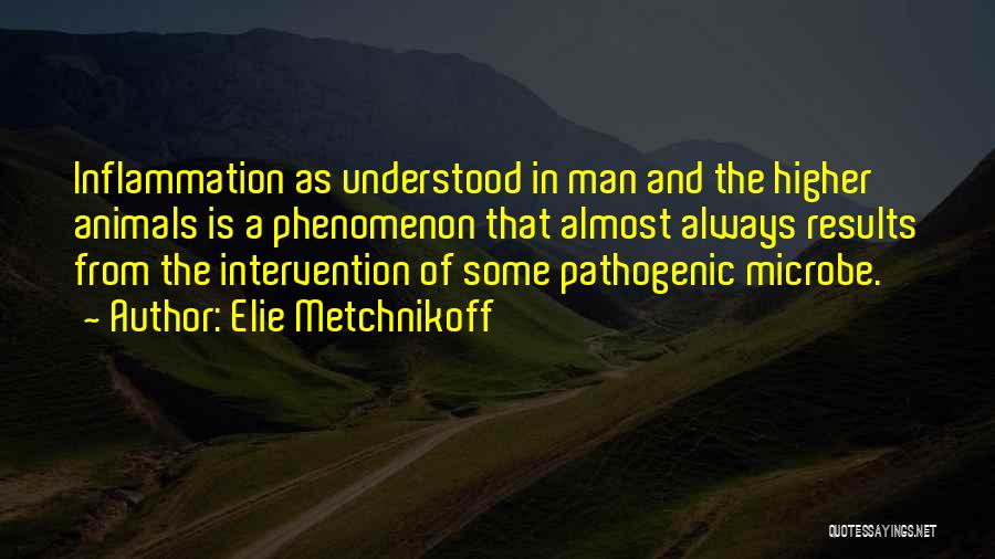 Elie Metchnikoff Quotes: Inflammation As Understood In Man And The Higher Animals Is A Phenomenon That Almost Always Results From The Intervention Of