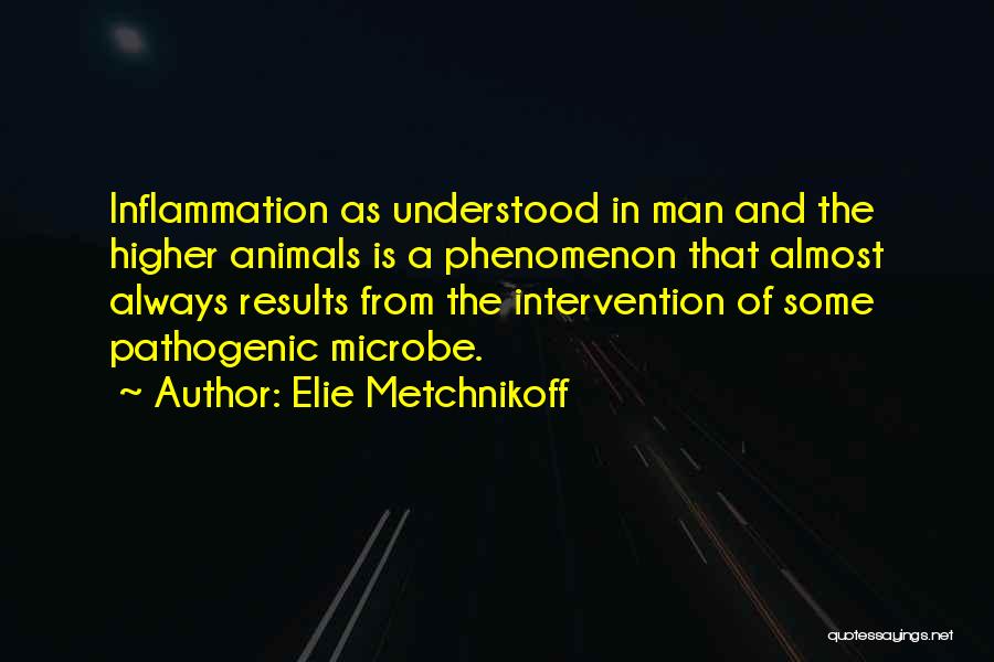 Elie Metchnikoff Quotes: Inflammation As Understood In Man And The Higher Animals Is A Phenomenon That Almost Always Results From The Intervention Of