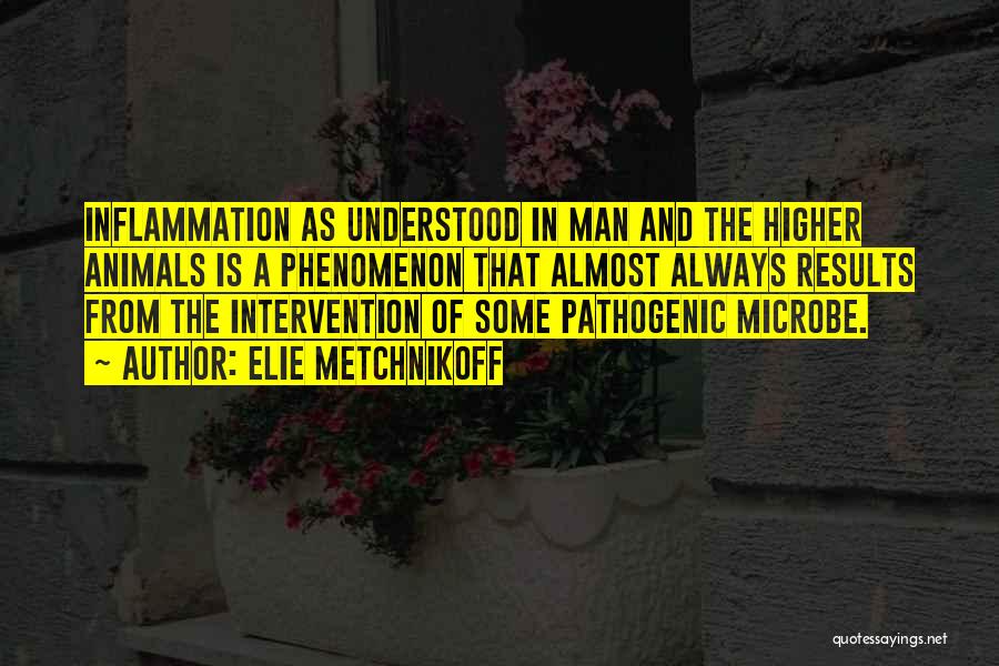 Elie Metchnikoff Quotes: Inflammation As Understood In Man And The Higher Animals Is A Phenomenon That Almost Always Results From The Intervention Of