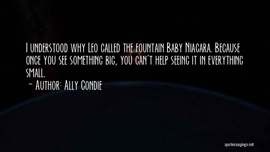 Ally Condie Quotes: I Understood Why Leo Called The Fountain Baby Niagara. Because Once You See Something Big, You Can't Help Seeing It