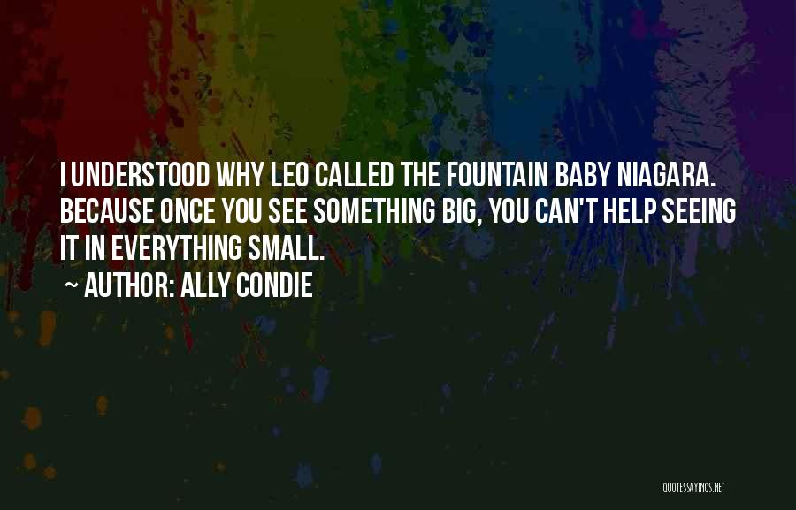 Ally Condie Quotes: I Understood Why Leo Called The Fountain Baby Niagara. Because Once You See Something Big, You Can't Help Seeing It