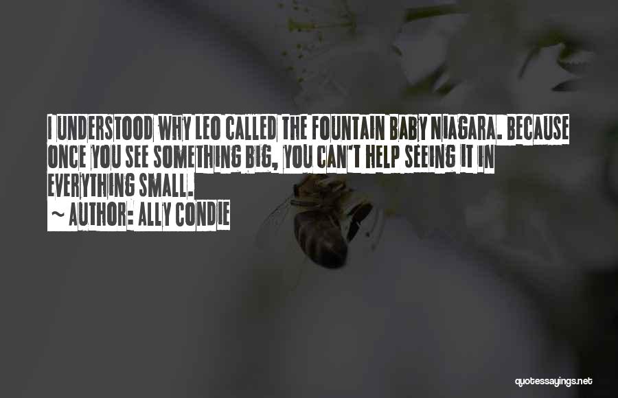 Ally Condie Quotes: I Understood Why Leo Called The Fountain Baby Niagara. Because Once You See Something Big, You Can't Help Seeing It