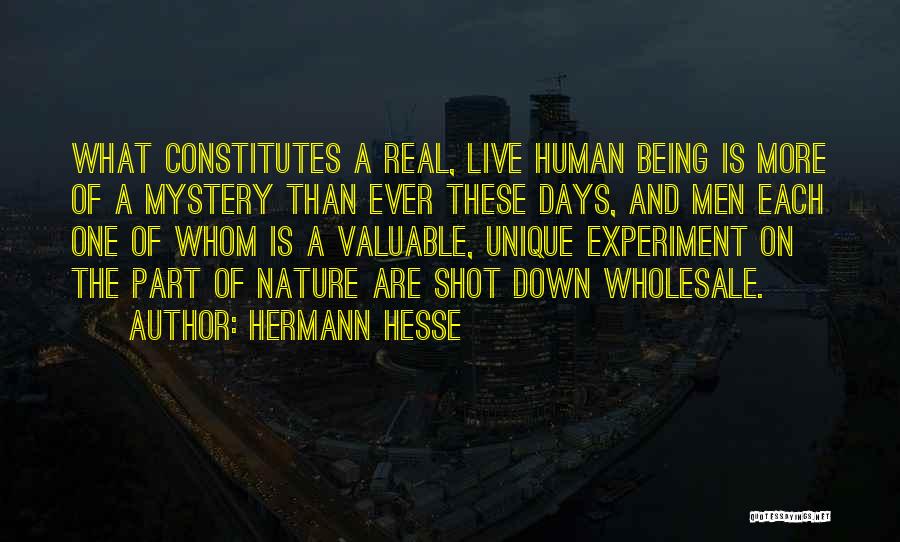 Hermann Hesse Quotes: What Constitutes A Real, Live Human Being Is More Of A Mystery Than Ever These Days, And Men Each One