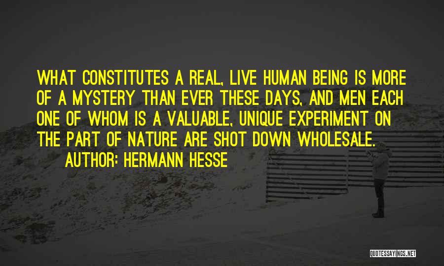 Hermann Hesse Quotes: What Constitutes A Real, Live Human Being Is More Of A Mystery Than Ever These Days, And Men Each One