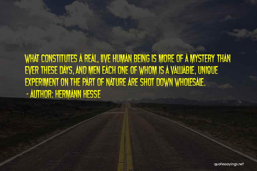 Hermann Hesse Quotes: What Constitutes A Real, Live Human Being Is More Of A Mystery Than Ever These Days, And Men Each One