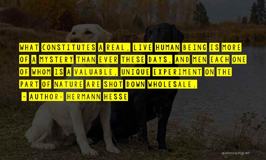 Hermann Hesse Quotes: What Constitutes A Real, Live Human Being Is More Of A Mystery Than Ever These Days, And Men Each One