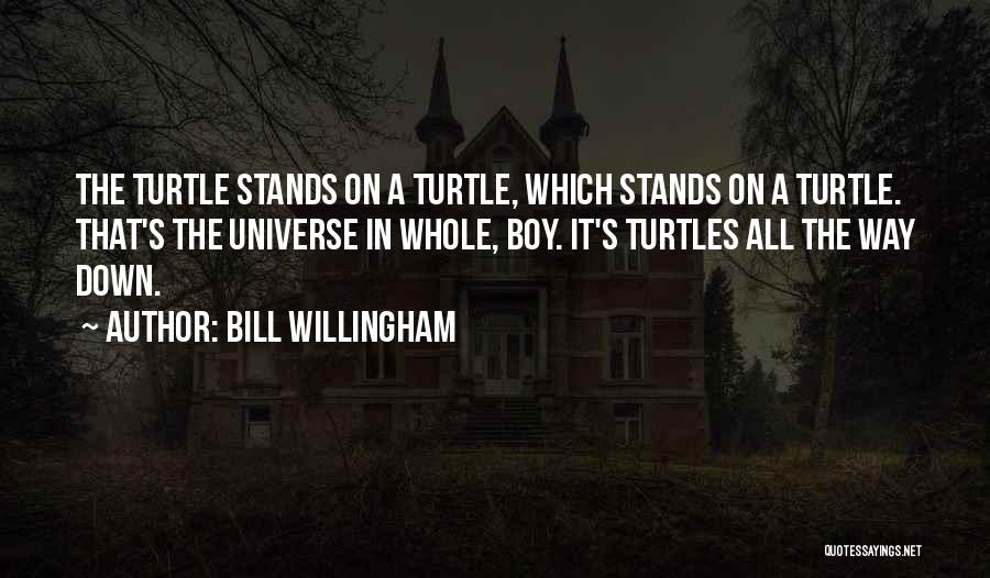 Bill Willingham Quotes: The Turtle Stands On A Turtle, Which Stands On A Turtle. That's The Universe In Whole, Boy. It's Turtles All