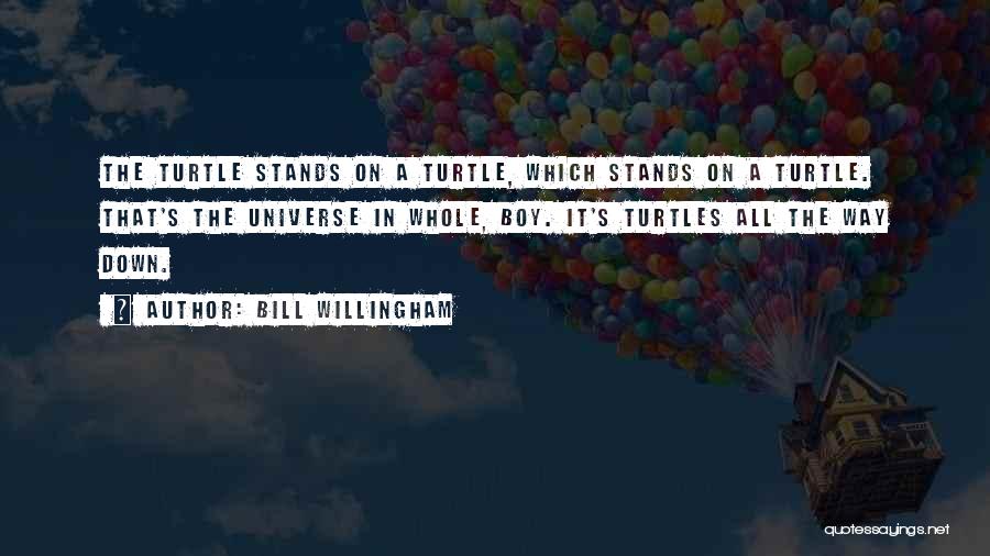 Bill Willingham Quotes: The Turtle Stands On A Turtle, Which Stands On A Turtle. That's The Universe In Whole, Boy. It's Turtles All