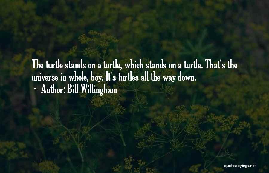 Bill Willingham Quotes: The Turtle Stands On A Turtle, Which Stands On A Turtle. That's The Universe In Whole, Boy. It's Turtles All