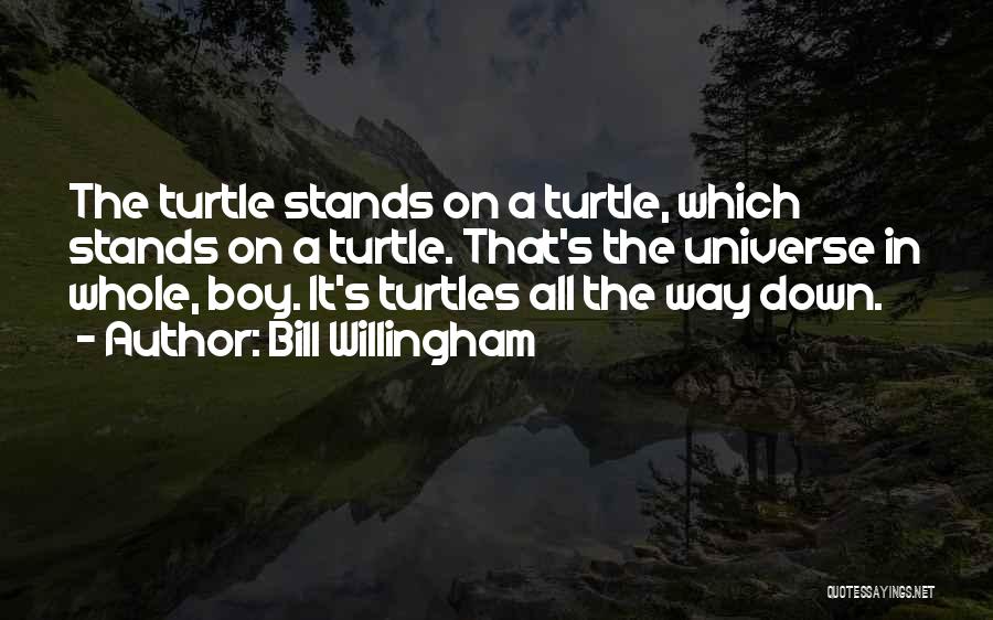 Bill Willingham Quotes: The Turtle Stands On A Turtle, Which Stands On A Turtle. That's The Universe In Whole, Boy. It's Turtles All