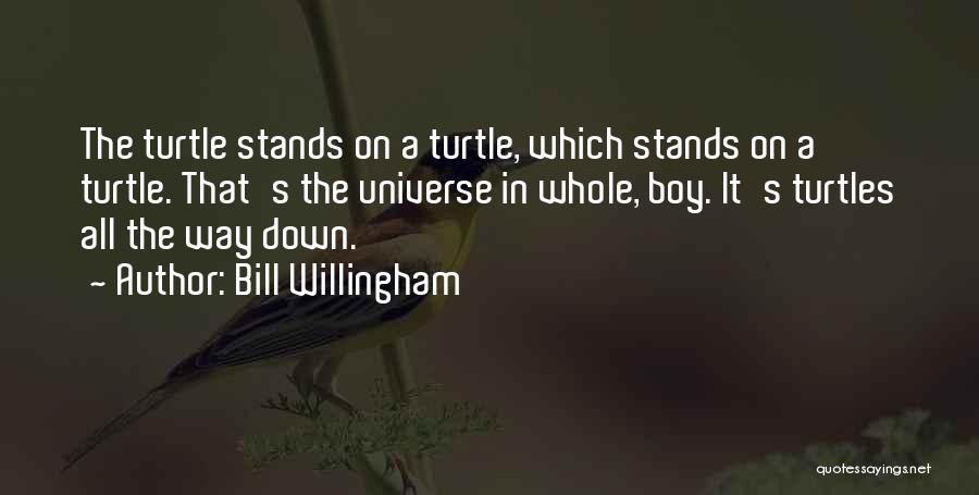 Bill Willingham Quotes: The Turtle Stands On A Turtle, Which Stands On A Turtle. That's The Universe In Whole, Boy. It's Turtles All