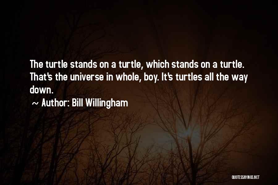 Bill Willingham Quotes: The Turtle Stands On A Turtle, Which Stands On A Turtle. That's The Universe In Whole, Boy. It's Turtles All