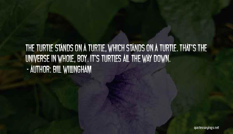 Bill Willingham Quotes: The Turtle Stands On A Turtle, Which Stands On A Turtle. That's The Universe In Whole, Boy. It's Turtles All