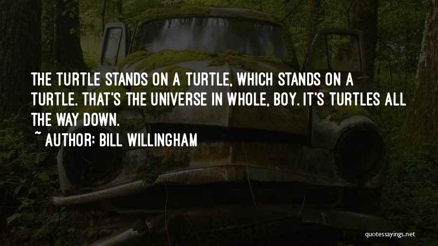 Bill Willingham Quotes: The Turtle Stands On A Turtle, Which Stands On A Turtle. That's The Universe In Whole, Boy. It's Turtles All