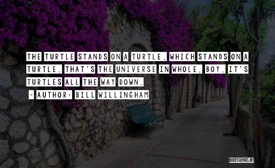 Bill Willingham Quotes: The Turtle Stands On A Turtle, Which Stands On A Turtle. That's The Universe In Whole, Boy. It's Turtles All