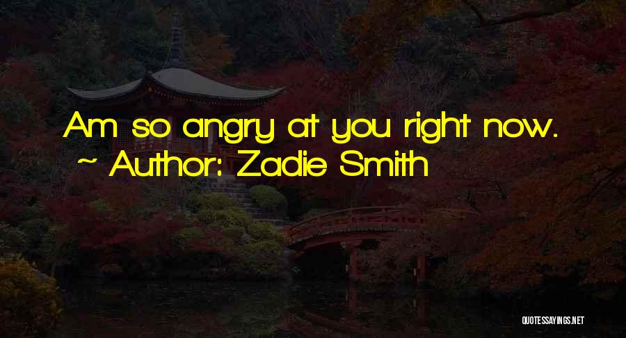 Zadie Smith Quotes: Am So Angry At You Right Now.