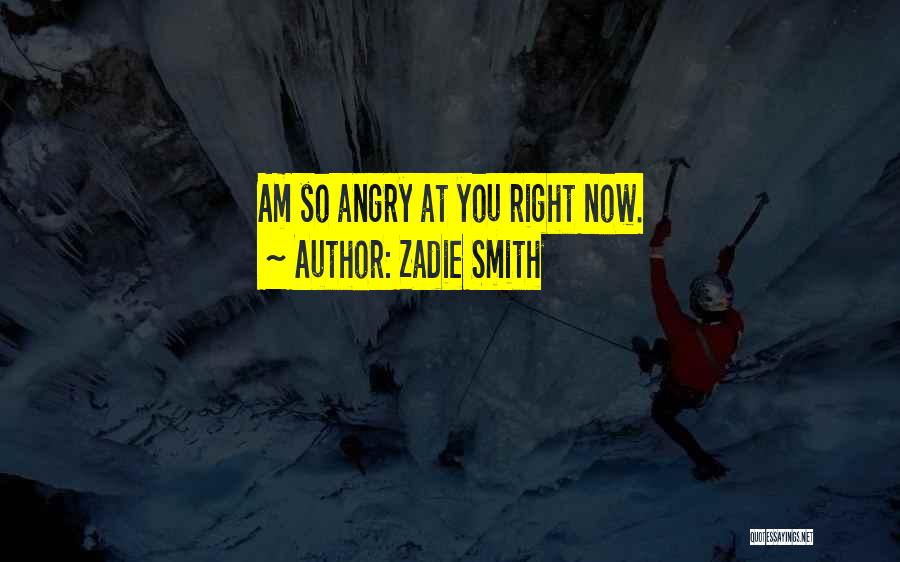 Zadie Smith Quotes: Am So Angry At You Right Now.