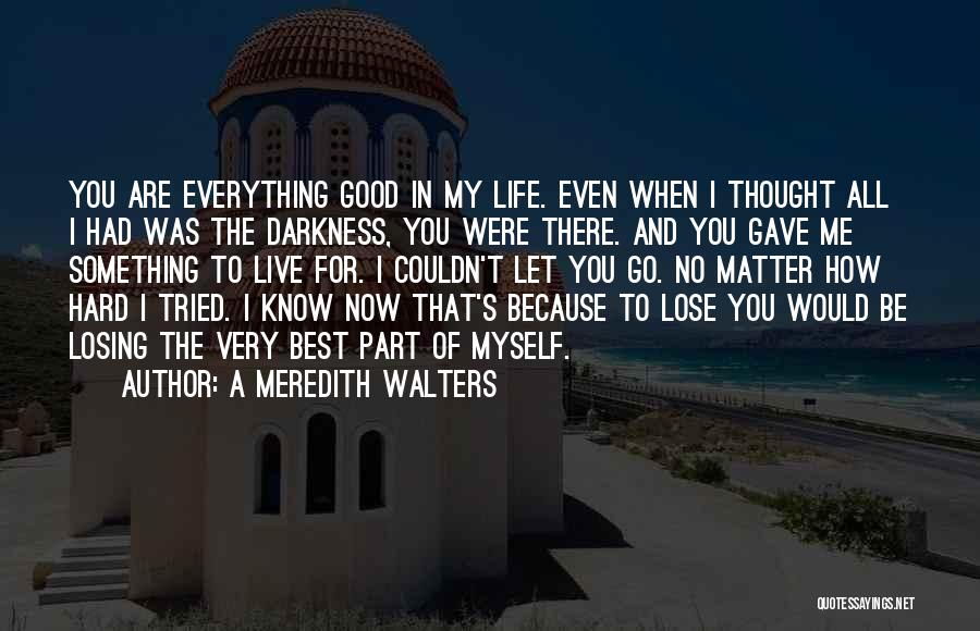 A Meredith Walters Quotes: You Are Everything Good In My Life. Even When I Thought All I Had Was The Darkness, You Were There.