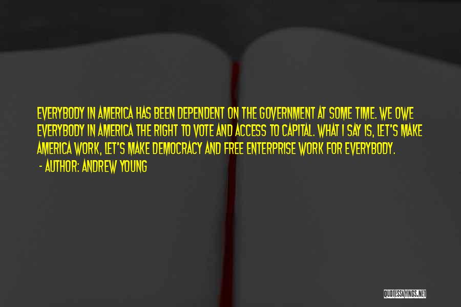 Andrew Young Quotes: Everybody In America Has Been Dependent On The Government At Some Time. We Owe Everybody In America The Right To