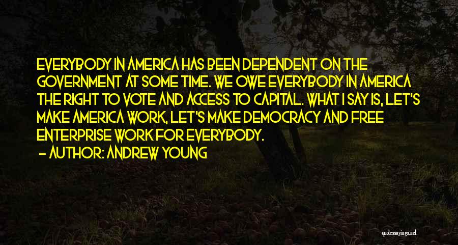 Andrew Young Quotes: Everybody In America Has Been Dependent On The Government At Some Time. We Owe Everybody In America The Right To