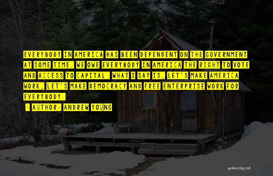 Andrew Young Quotes: Everybody In America Has Been Dependent On The Government At Some Time. We Owe Everybody In America The Right To