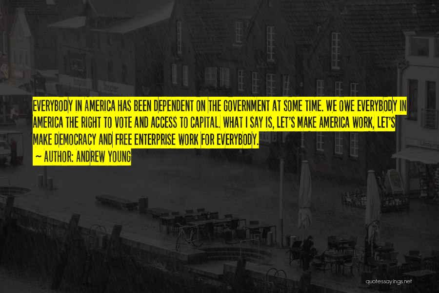 Andrew Young Quotes: Everybody In America Has Been Dependent On The Government At Some Time. We Owe Everybody In America The Right To