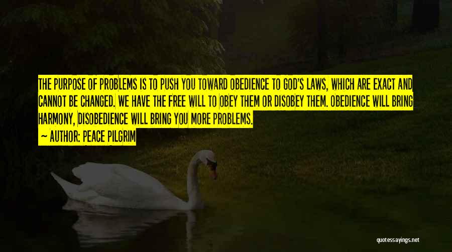 Peace Pilgrim Quotes: The Purpose Of Problems Is To Push You Toward Obedience To God's Laws, Which Are Exact And Cannot Be Changed.